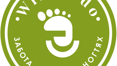 Photo of Подология: забота о ногах