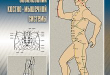 Photo of Акупунктура: древний метод лечения