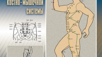 Photo of Акупунктура: древний метод лечения