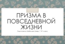 Photo of Уход за позвоночником в повседневной жизни