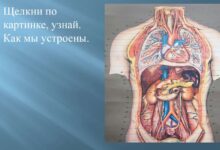 Photo of Секреты здоровья суставов