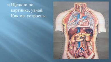 Photo of Секреты здоровья суставов