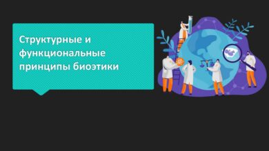 Photo of Ортопедия: основные принципы